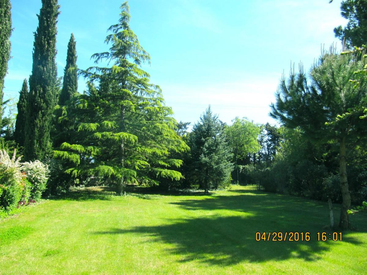 Le Vieux Pont Villa Carpentras ภายนอก รูปภาพ