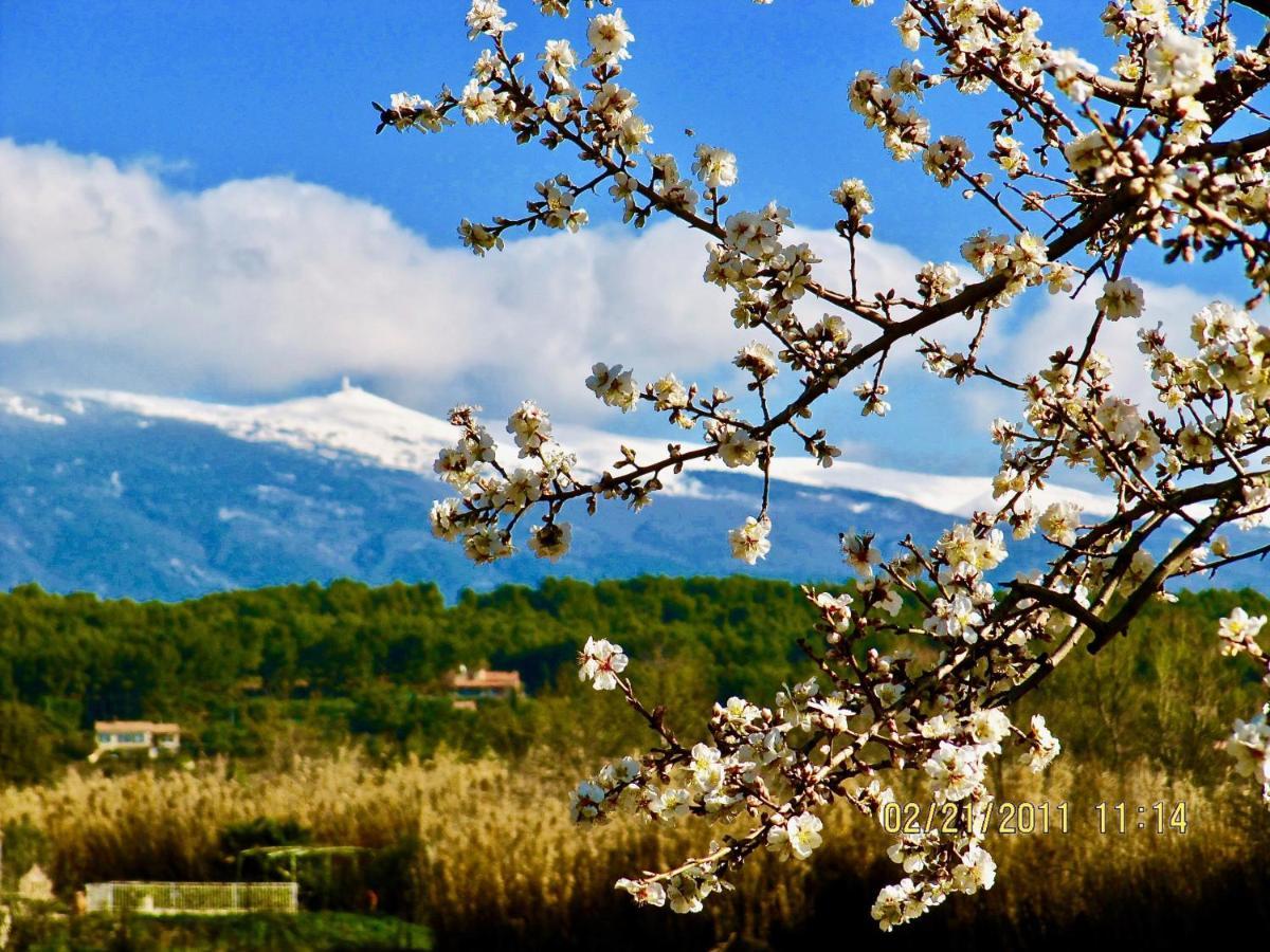Le Vieux Pont Villa Carpentras ภายนอก รูปภาพ